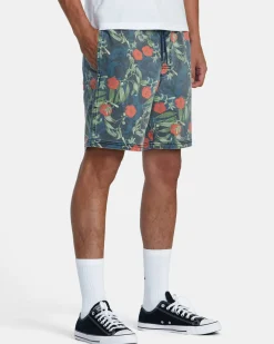 RVCA ESCAPE PRINT 17