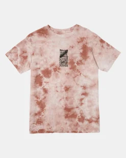 RVCA MEGAHERTZ TEE Pale Mauve Shock Wash New